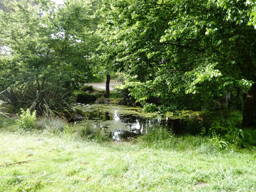 sanfrden2-goldengatepark1