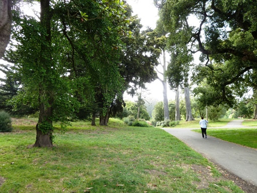 sanfrden2-goldengatepark2